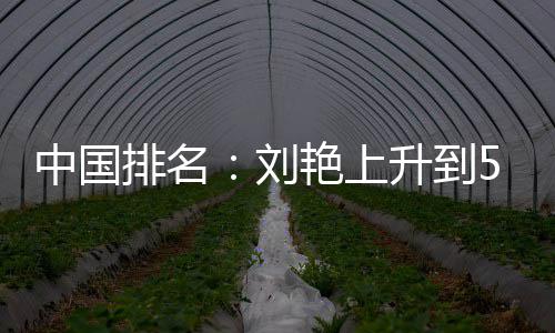 位 排名攀升刘刘依中国艳上一许赢也升到